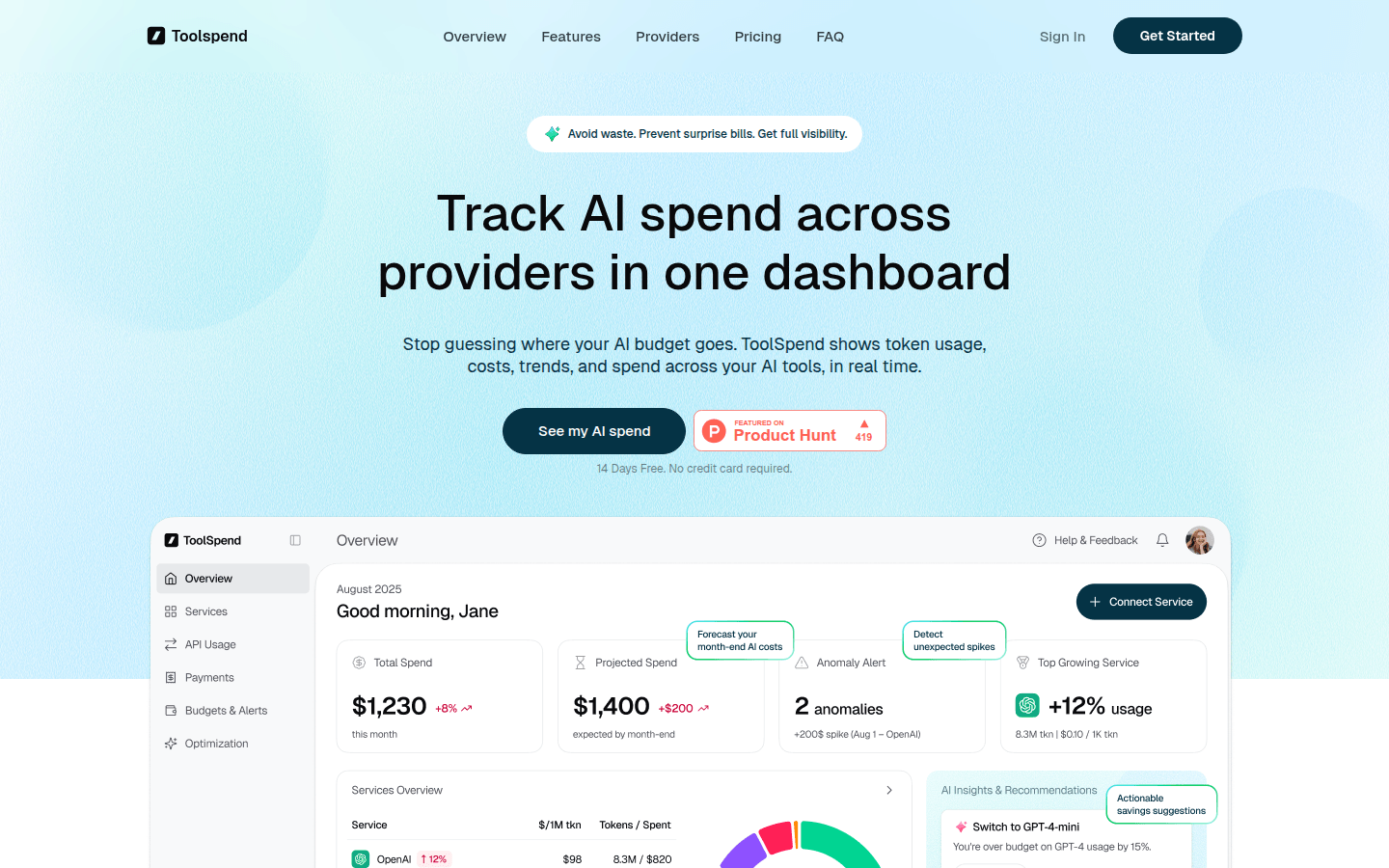 ToolSpend: Your AI Budget Guardian