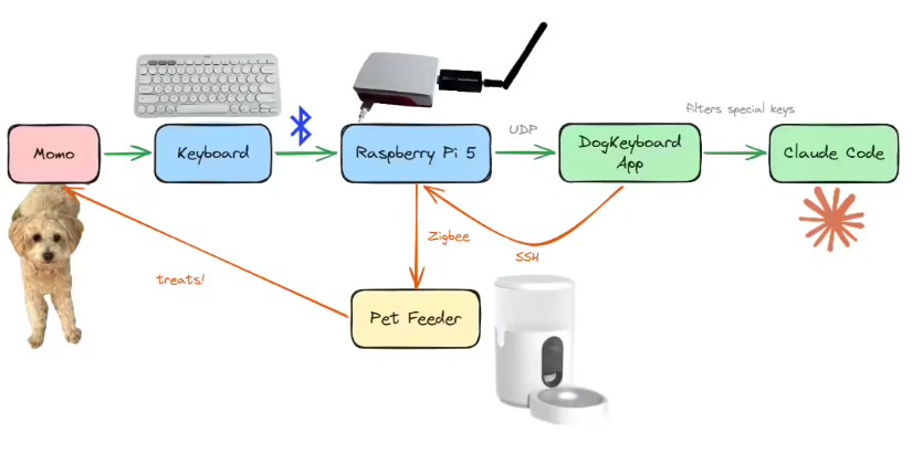 Corgi Codes: How a Dog's Random Typing Spawned a Playable Game